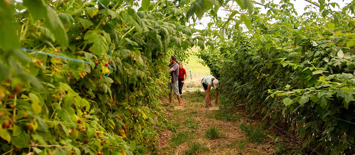 TERR’ÉTIC, collectif de producteurs et transformateurs de fruits dans les Monts du Lyonnais | Ferme Là-Haut sur la Montagne Saint André la Côte