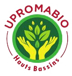 UPROMABIO (Union des producteurs de mangue Bio)